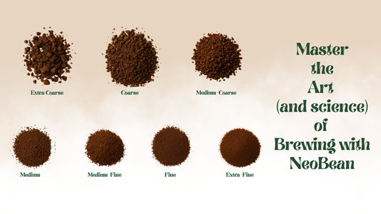 Alt text: Various grind sizes lined up — extra coarse for cold brew to fine espresso grind