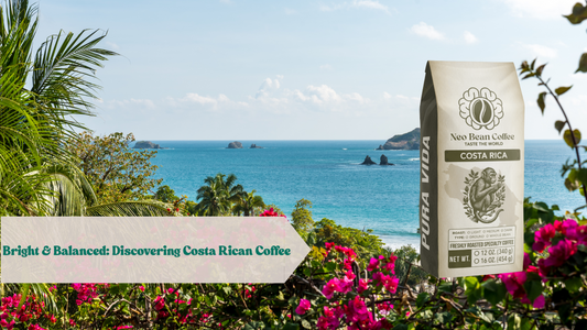 Discover the Depth of Single Origin: Costa Rica