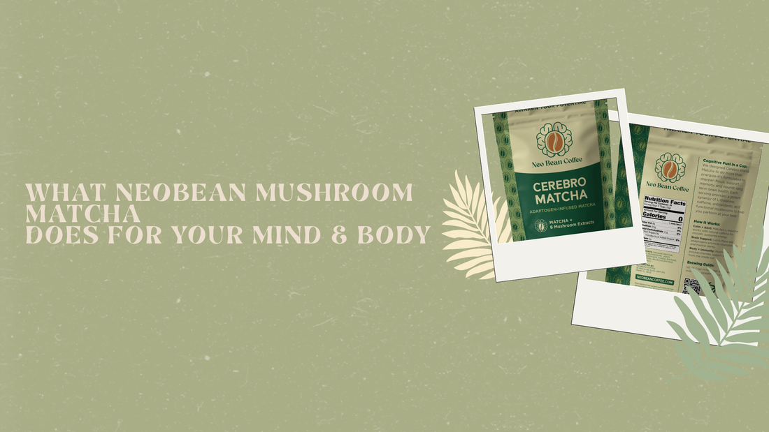 The Enhanced Benefits of NeoBean’s Cerebro Blend Mushroom Matcha: What Each Ingredient Does for Your Mind & Body