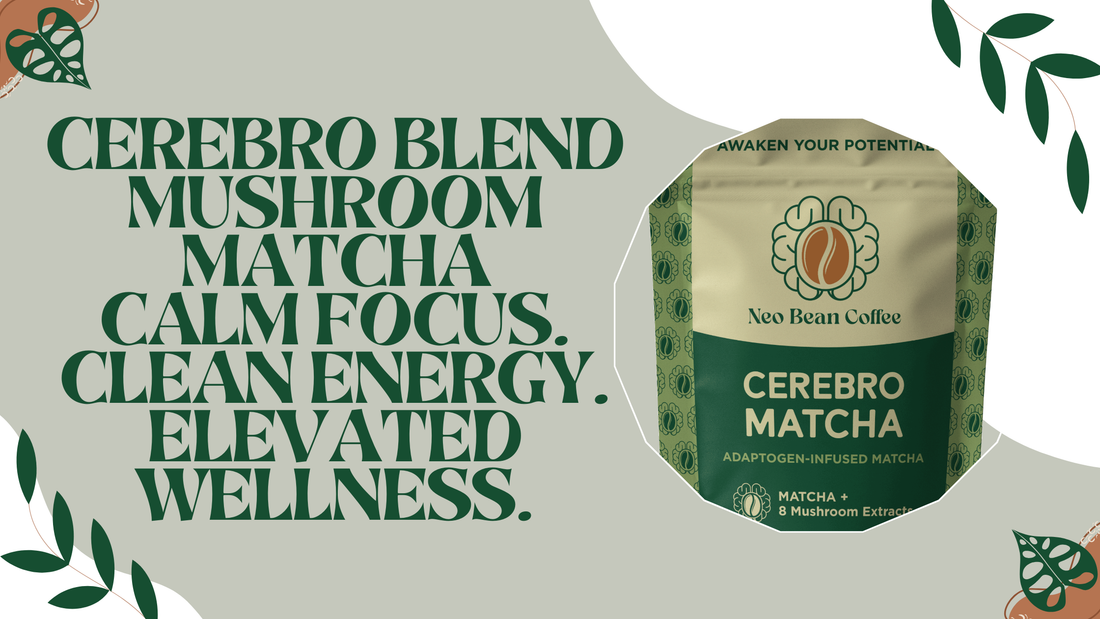 Cerebro Blend Mushroom Matcha: Benefits, Ingredients & Origins of a Functional Daily Ritual