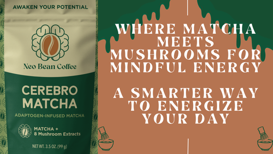 Cerebro Blend Mushroom Matcha: A Daily Ritual for Calm  Energy & Mental Clarity