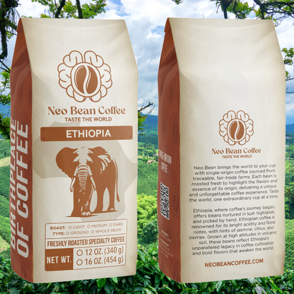 Lush Ethiopian coffee farm with green coffee plants growing in high-altitude volcanic soil, symbolizing premium single-origin coffee.